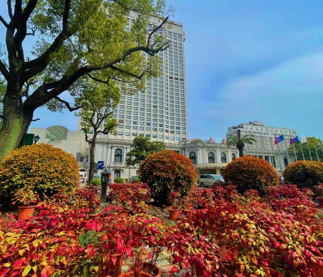 花园饭店一景（许仰东摄）