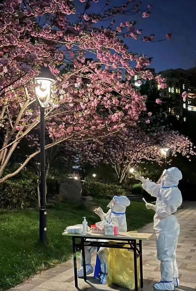 夜灯下的大白（来自网络)